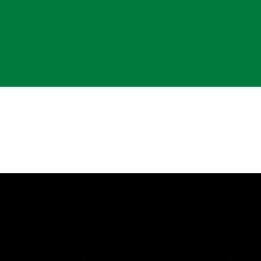 العربية flag